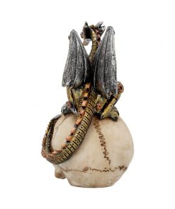 Dragon's Grasp 18.5cm