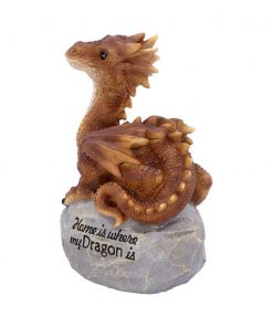 Home Is Where My Dragon Is 19.5cm