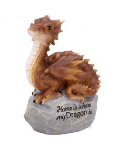 Home Is Where My Dragon Is 19.5cm