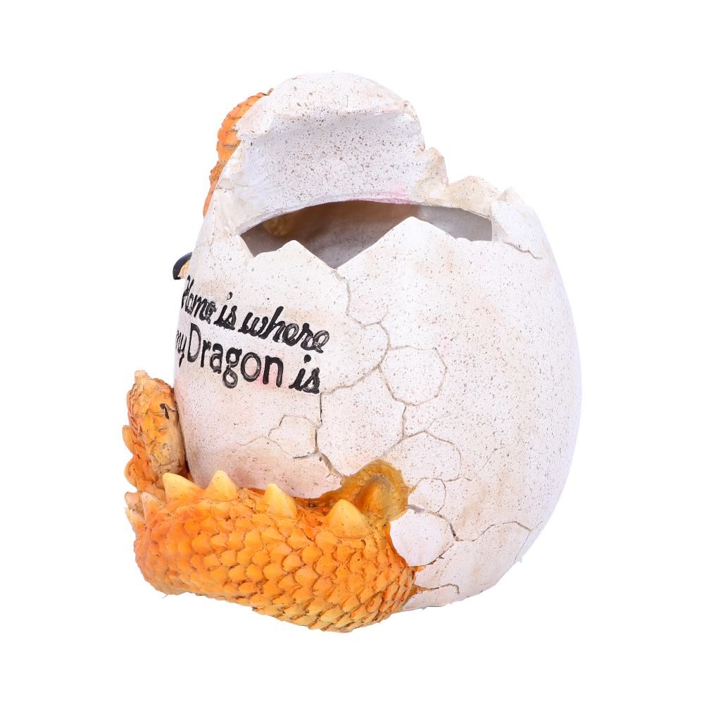 Home is Where My Dragon is Pot 16cm 2 Home is Where My Dragon is Pot 16cm