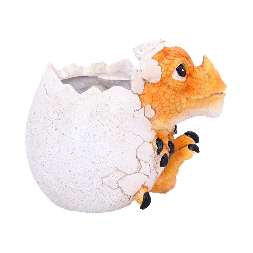 Home is Where My Dragon is Pot 16cm 3 Home is Where My Dragon is Pot 16cm