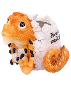 Home is Where My Dragon is Pot 16cm