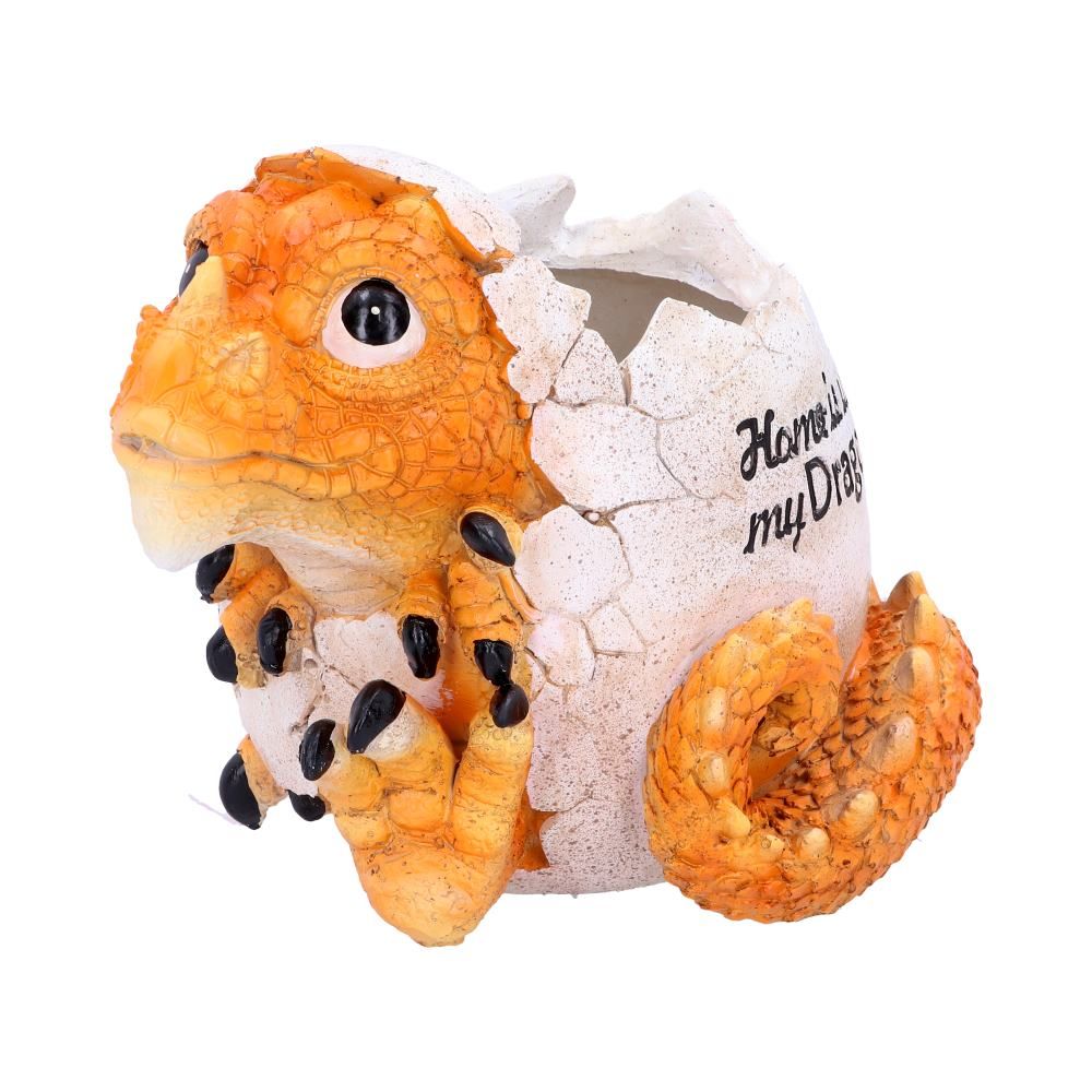 Home is Where My Dragon is Pot 16cm 4 Home is Where My Dragon is Pot 16cm