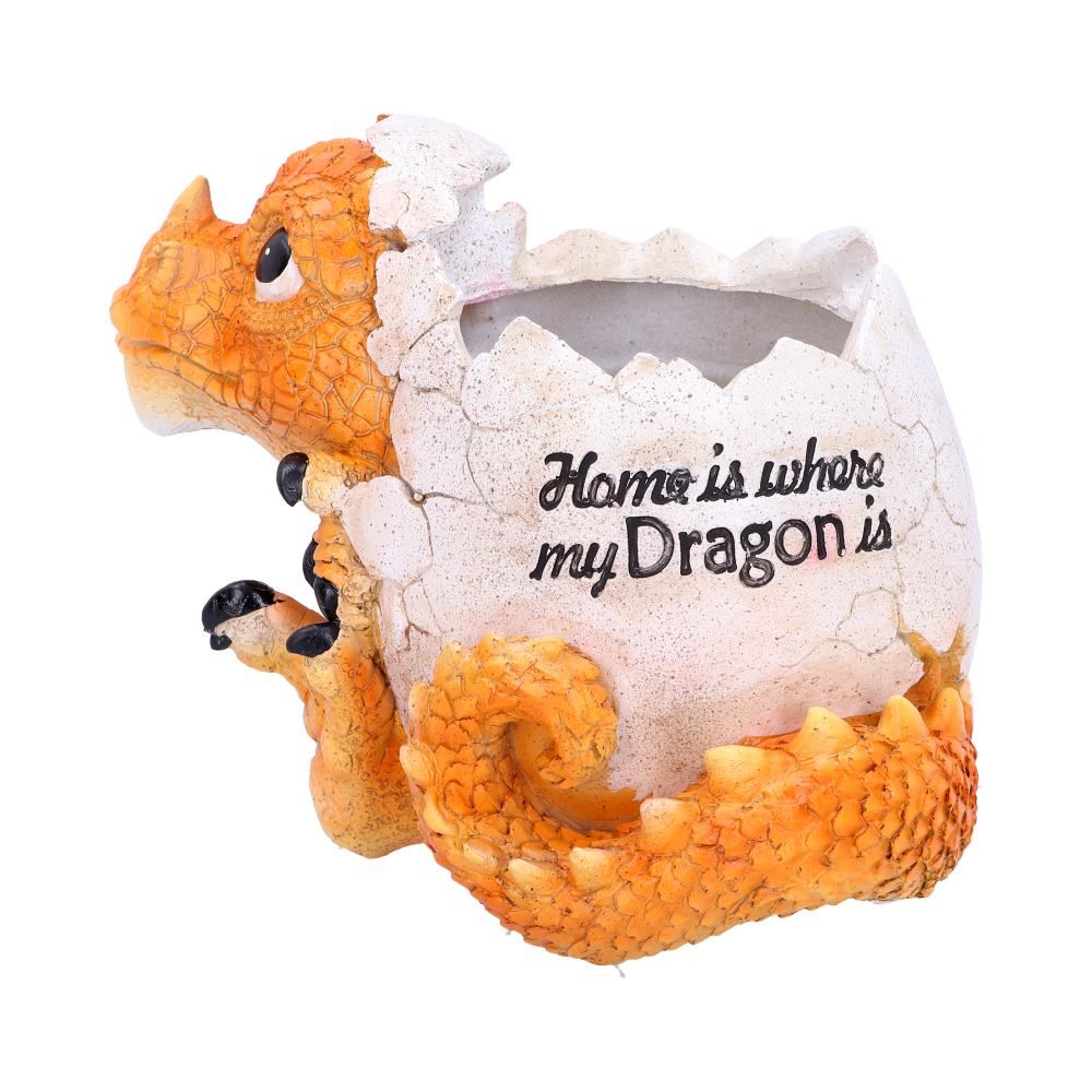 Home is Where My Dragon is Pot 16cm 1 Home is Where My Dragon is Pot 16cm