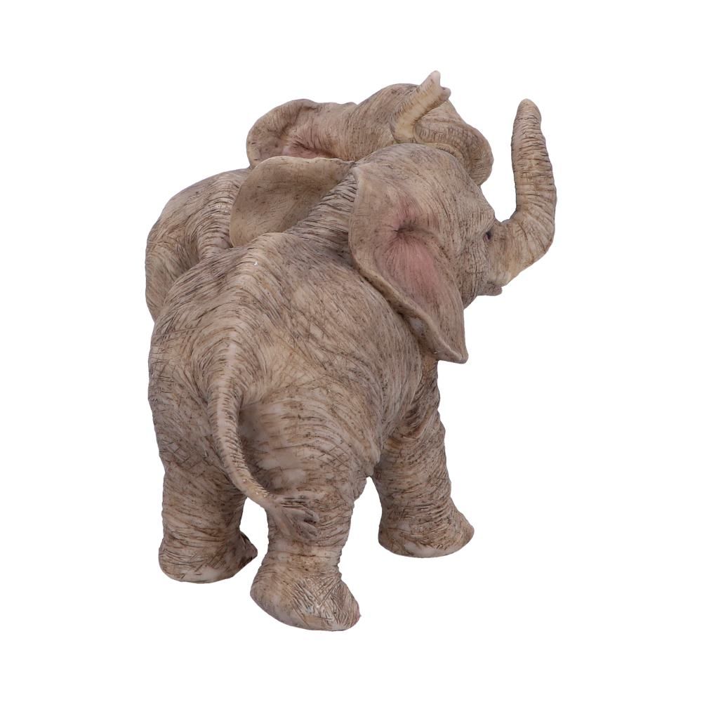 Trunk to Trunk 26 Trunk to Trunk 26.5cm