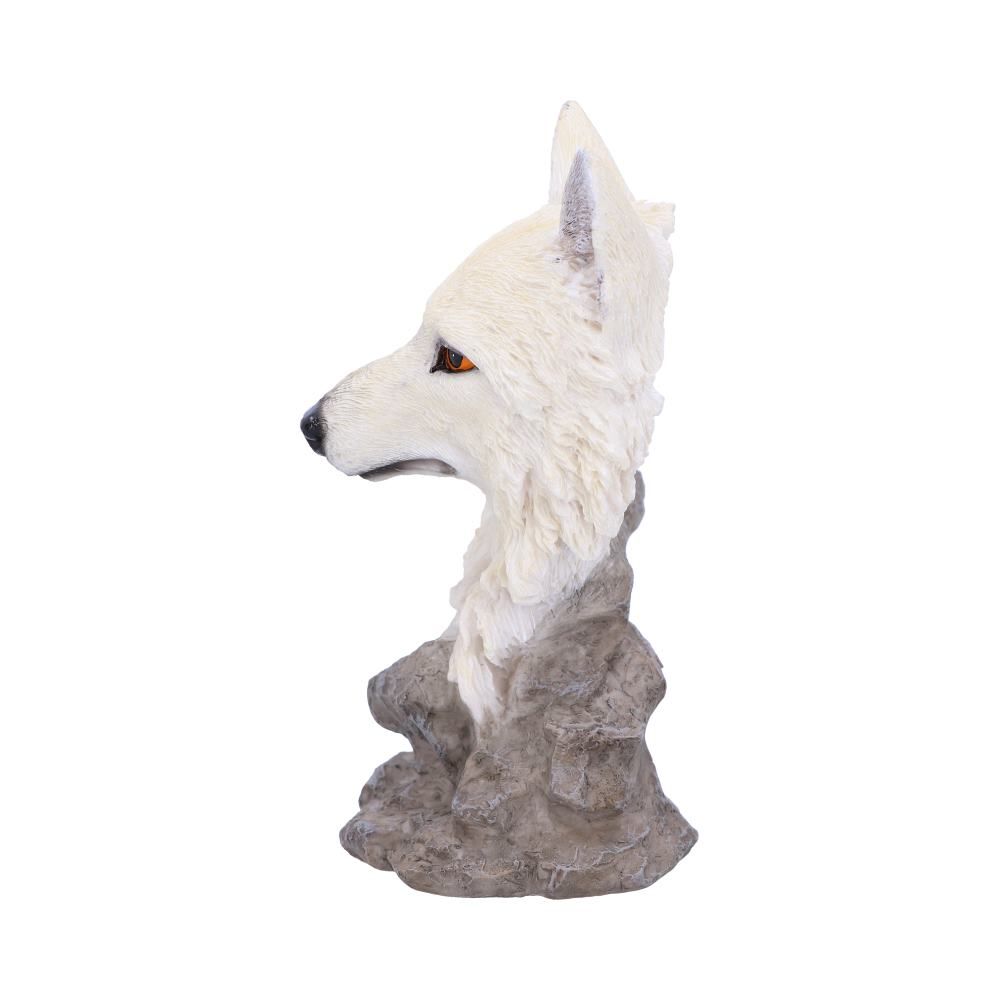 Snow Searcher (Small) 12cm 2 Snow Searcher (Small) 12cm