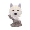 Snow Searcher (Small) 12cm