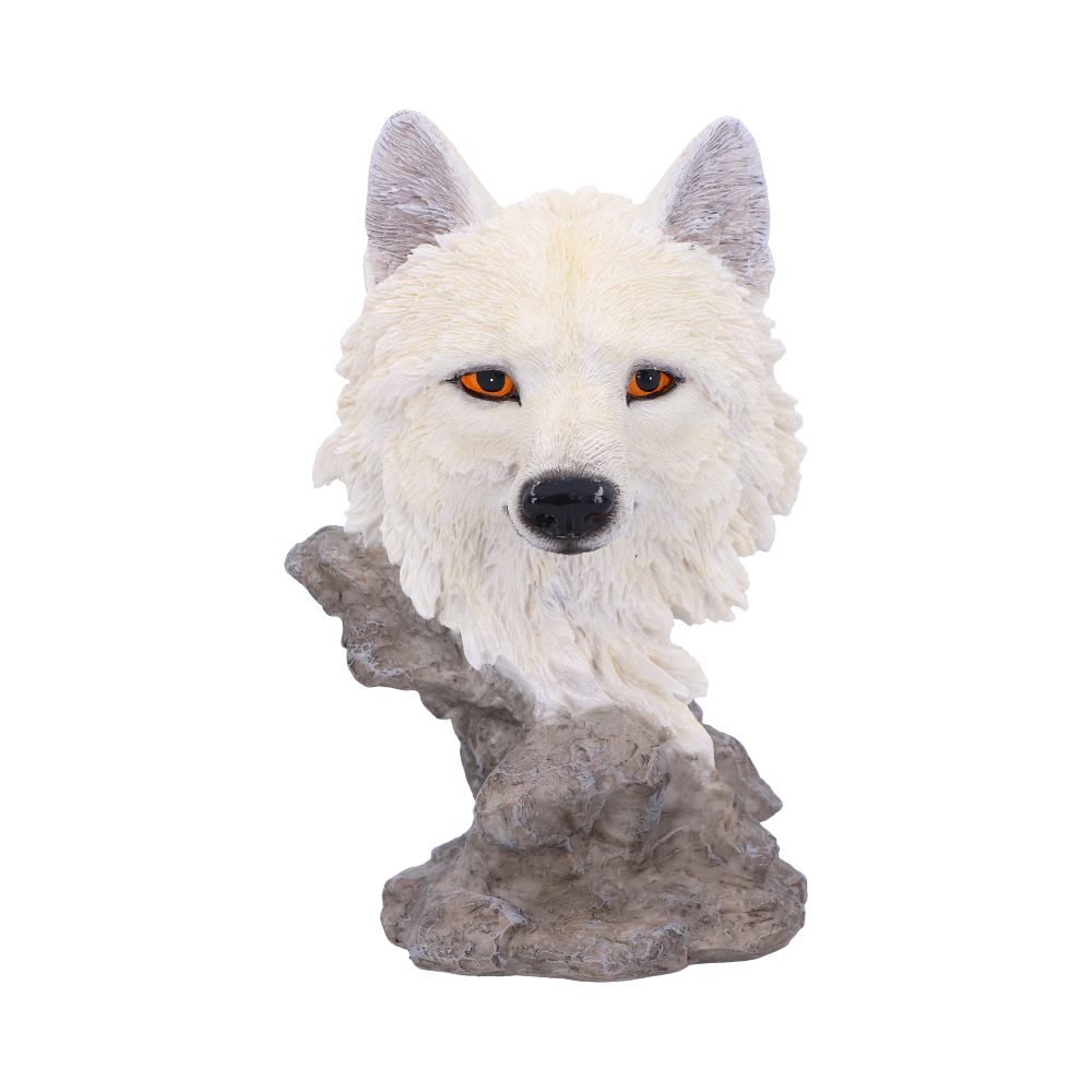 Snow Searcher (Small) 12cm 1 Snow Searcher (Small) 12cm