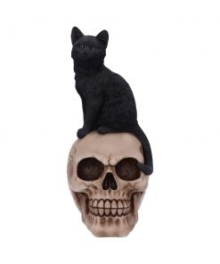 Familiar Fate 24.3cm