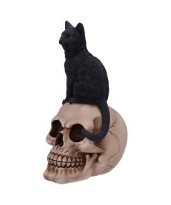 Familiar Fate 24.3cm