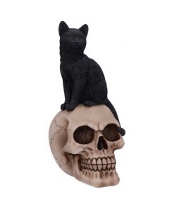 Familiar Fate 24.3cm