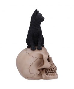 Familiar Fate 24.3cm