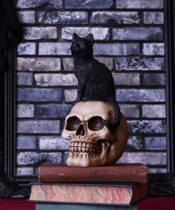 Familiar Fate 24.3cm