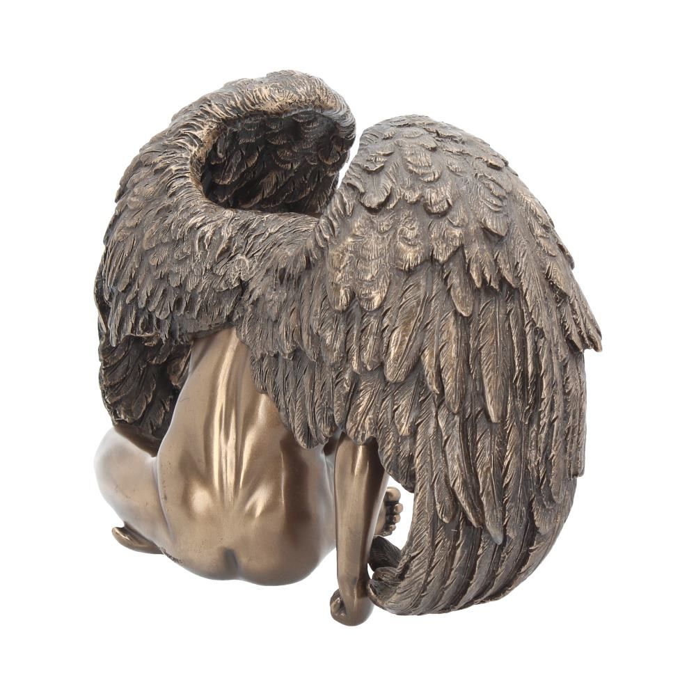 Angels Rest 20cm 5 Angels Rest 20cm
