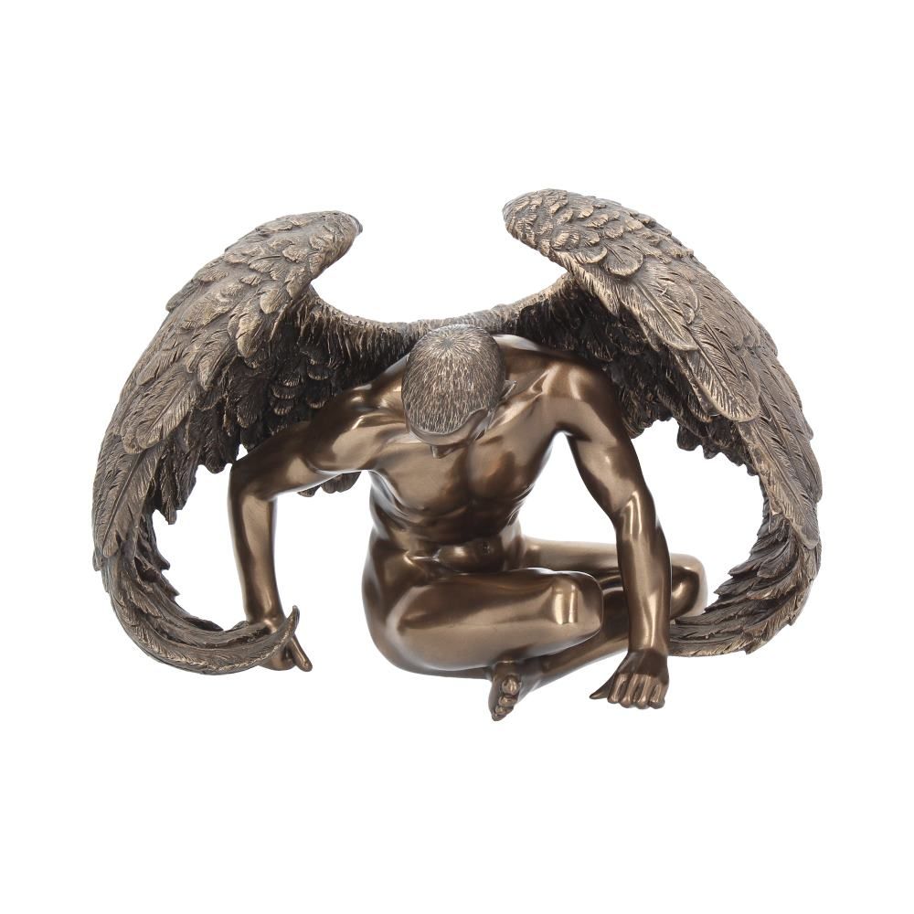 Angels Rest 20cm 1 Angels Rest 20cm